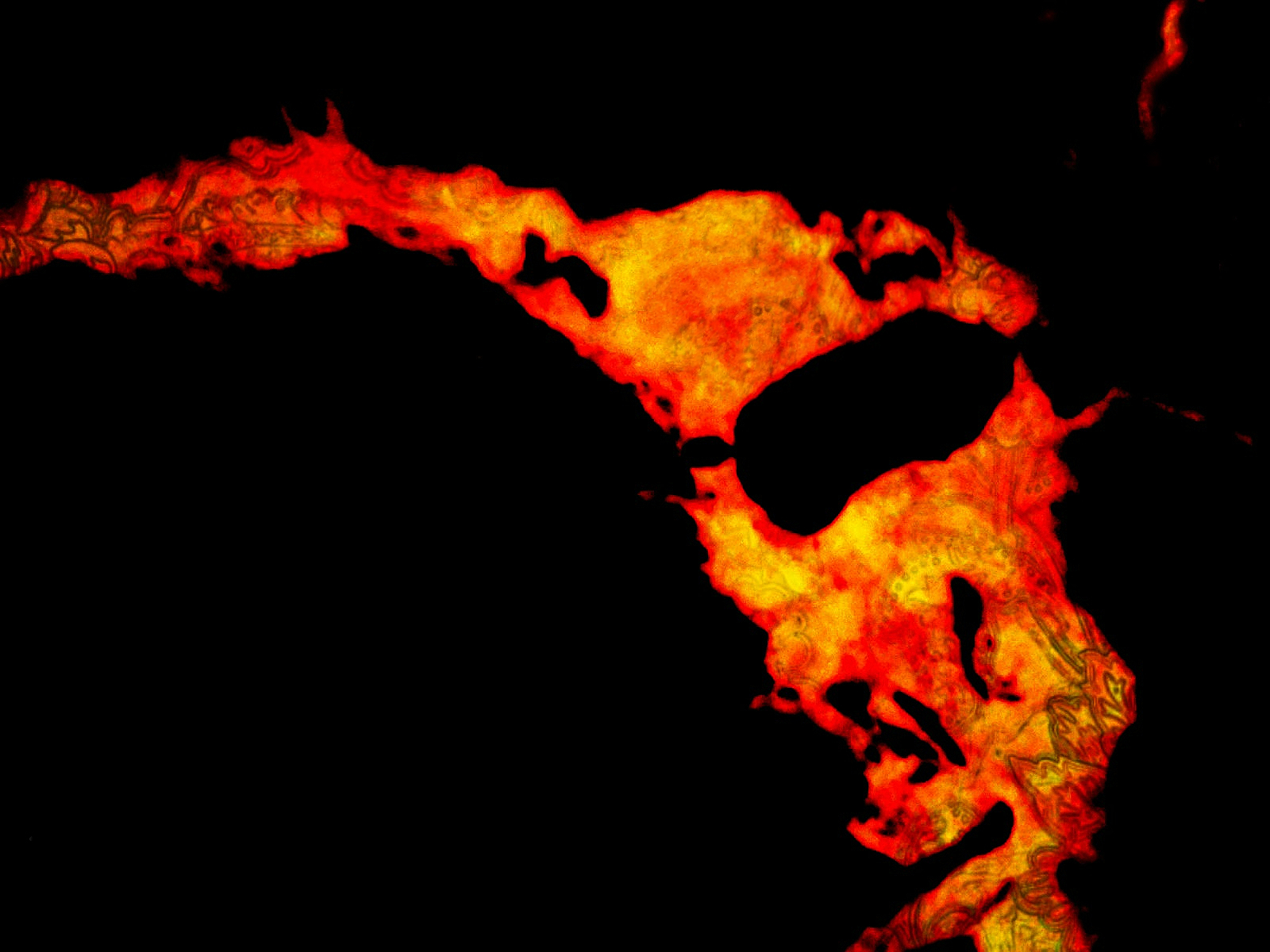 Man Consumed
